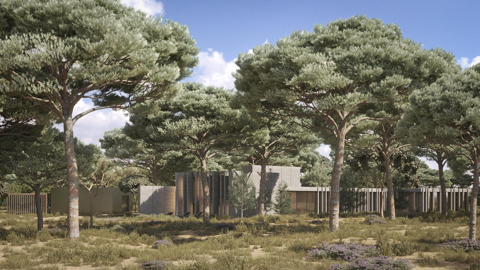 Entrance wall and contemporary residence surrounded by pine trees