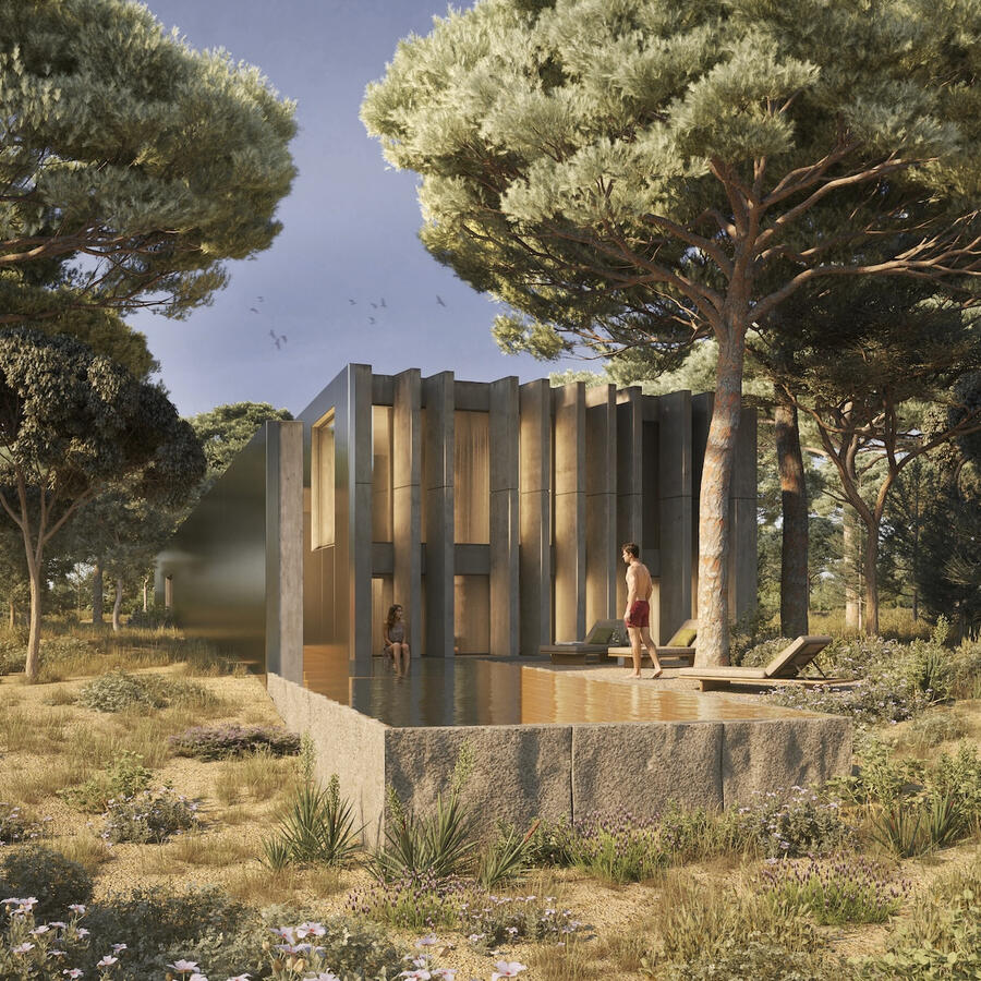 Contemporary villa with swimming pool surrounded by pine trees in Muda, Comporta