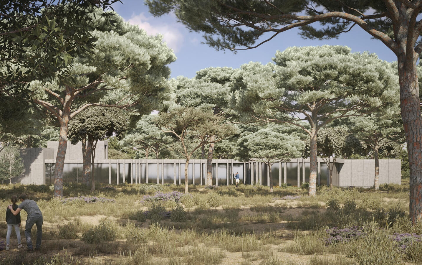 Rear view of contemporary residence integrated into the pine landscape of Muda